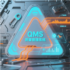 QMS 质量管理系统